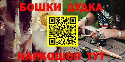 мдпв Камышлов