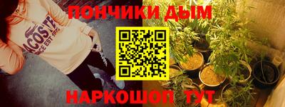 мдпв Камышлов