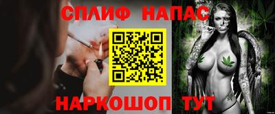 мдпв Камышлов