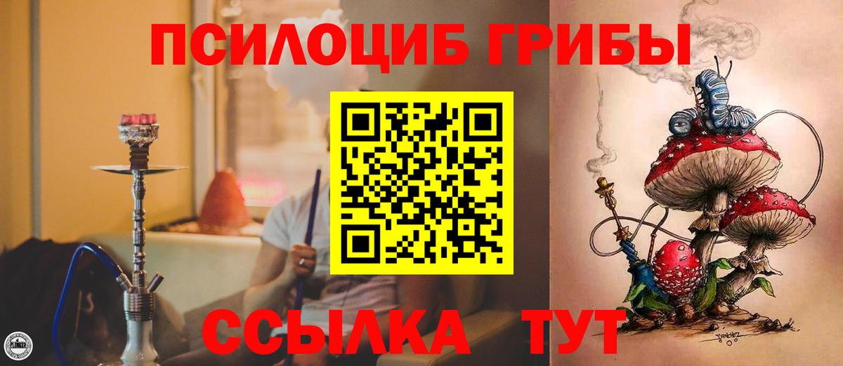 Нарьян-Мар  Псилоцибиновые грибы GOLDEN TEACHER  наркотики  Вход с VPN 
